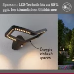 Oprawa elewacyjna ALARA LED RGBW+10W 450lm czujnik ruchu i zmierzchu IP44 230V antracyt / aluminium