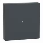 KNX klawisz do 1-kr. modułu przyciskowego antracytowy System M