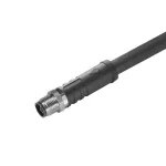 SAIL-M12G-T-3.0P Kabel czujnikowy, nr.katalogowy 2050640300