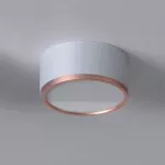 KAPS A1/10 stropowy LED 10W/1000lm/3000K, 230V, kolor miedzi (gładki mat), srebrny aluminiowy (mat struktura) RAL 9006