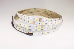 TAŚMA LED NEXTEC ST / 12V / 5050 / 14,4W / 30+30 LED / IP20 / RGB + 6200K / 5m / 10mm