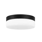 Ceiling fixture GIRO LED 10.8W SW 3000-4000K Black 327lm DE-0133-NEG
