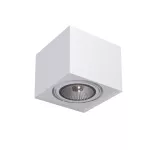 ALPINA A1Sd LED111 stropowy max. 1x20W, G53, 12V/DC, biały sygnałowy (mat struktura) RAL 9003