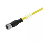 SAIL-M12BG-3-10UGE Kabel czujnikowy, nr.katalogowy 1092911000