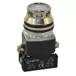 PROMET Przycisk NEF30-KLXY/D24V bezbarwny