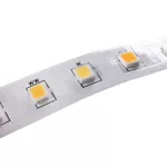 L120 16W/M 12 IP00CCT Liniowe moduły LED