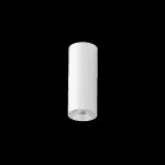 Oprawa INTO R100 LED 200 n/t ED DALI 1250lm/830 55° biały srebrny 14 W