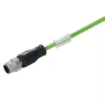 SAIL-M12GM12SG-4S1.5UIE Przewód połączeniowy przemysłowy, nr.katalogowy 1296800150