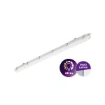 Oprawa hermetyczna Philips Ledinaire WT065C przelotowa 53; 30W 4100; 6800lm 4000K LED41_68S/840 PSU L1500 TW1 5 lat gwar