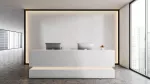 Akcesorium Philips LS mounting clips IP20 50pcs EU Akcesoria 1 rok gwar
