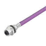 SAIE-M12B-CD-1.0U Złącze okrągłe, do wbudowania (z kablem), nr.katalogowy 1436710100