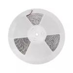 PASEK LED 24W/5m 3528 60LED/1m CW 2 LATA ECO 1M   (ROLKA 20M) W SILIKONIE