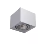 ALPINA A1Sd LED111 stropowy max. 1x20W, G53, 12V/DC, srebrny aluminiowy (mat struktura) RAL 9006