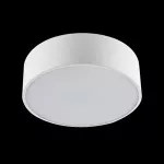 RUBIN OKRĄGŁY 460 LED 4200 PLX L-DOWN E 21 830 / H-90MM