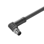 SAIL-M12W-T-5.0P Kabel czujnikowy, nr.katalogowy 2050650500