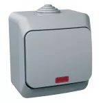 Cedar Plus, łącznik 1-biegunowy, IP44, szary
