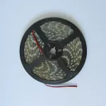 Taśma LED 300 19W/m 3000K 1550lm/m 12V IP20 /5m/