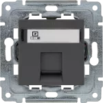 DANTE Gniazdo komputerowe poj. RJ45 (wkład MOLEX), bez ramki, GRAFIT