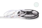 TAŚMA LED NEXTEC 12V / SMD 3528 - 300 LED / IP20 / BIAŁY ZIMNY / PODŁOŻE BIAŁE / ROLKA 5m / 8mm