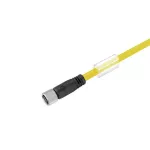 SAIL-M8BG-4-5.0UGE Kabel czujnikowy, nr.katalogowy 1093200500