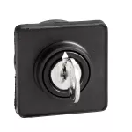 Harmony K Głowica przełącznika 45x45mm z kluczem Ronis 8R1