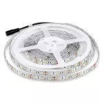 11W Taśma LED / Barwa:6400K / IP65 / Rolka:5m