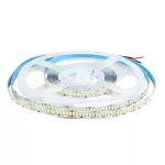 18W Taśma LED / Barwa:6400K / IP20 / Zasilanie: 24V / Rolka:5m
