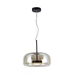 6W Dekoracyjna lampa sufitowa / Obudowa:Akrylowa D350*H170