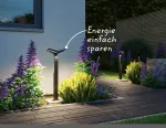 Oprawa ogrodowa ALARA LED RGBW+10W 450lm 665mm czujnik ruchu i zmierzchu IP44 230V antracyt / aluminium