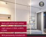Reflektor na szynoprzewód URail ALDAN 8W 500lm 2700K-6500K 230V chrom matowy / metal