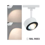 Reflektor na szynoprzewód URail ALDAN 8W 500lm 2700K-6500K 230V biały / metal