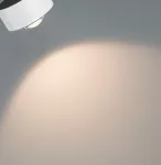 Reflektor na szynoprzewód URail ALDAN 8W 500lm 2700K-6500K 230V biały / metal