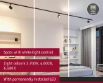 Reflektor na szynoprzewód URail ALDAN 8W 500lm 2700K-6500K 230V czarny matowy / metal