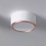 KAPS A1/10 stropowy LED 10W/1000lm/3000K, 230V, kolor miedzi (gładki mat), biały sygnałowy (mat struktura) RAL 9003