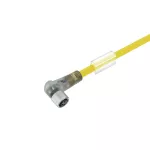 SAIL-M8BW-3L10UGE Kabel czujnikowy, nr.katalogowy 1093211000