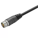 SAIS-M23-19P-ST-25M Kabel czujnikowy, nr.katalogowy 1818162500