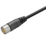 SAIL-M23WM23W-MM-19-10U Kabel czujnikowy, nr.katalogowy 1522781000