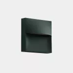 Wall fixture IP66 Sam 140mm LED 3.5W SW 2700-3200-4000K ON-OFF Fir green 269lm 05-E059-E3-EH