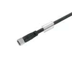 SAIL-M8G-4-2.0V Kabel czujnikowy, nr.katalogowy 1927250200