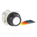 Przycisk kryty Ø30 7 kolorowy samopowrotny 1 OC plastikowy ośmiokątny
