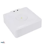 OPRAWA AWARYJNA SKALER KWADRATOWA 3W OPTYKA OTWARTA IP40 AUTOTEST 1H CNBOP