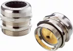 SKINTOP MS-NPT BRUSH 1''