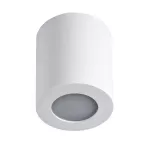 SANI IP44 DSO-W Oprawa sufitowa punktowa