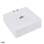 OPRAWA AWARYJNA SKALER KWADRATOWA 3W OPTYKA KORYTARZOWA IP40 AUTOTEST 3H CNBOP