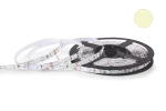 TAŚMA LED NEXTEC 12V / SMD 3528 - 300 LED / IP20 / BIAŁY CIEPŁY / PODŁOŻE BIAŁE / ROLKA 5m / 8mm