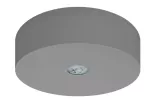 Oprawa AXN IP65 ECO LED 1W 125lm (opt. road) 3h jednozadaniowa szara