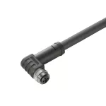 SAIL-M12BW-T-10H Kabel czujnikowy, nr.katalogowy 2050691000