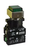 PROMET Przycisk P22-WLMXY/24V zielony