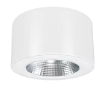 BARREL 2.0 200 20W 2200lm /830 DALI /Szyba(p) /biała 9003ds /30° /IP65