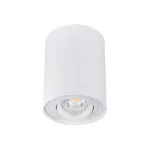 BORD DLP-50-W Suftowa oprawa punktowa